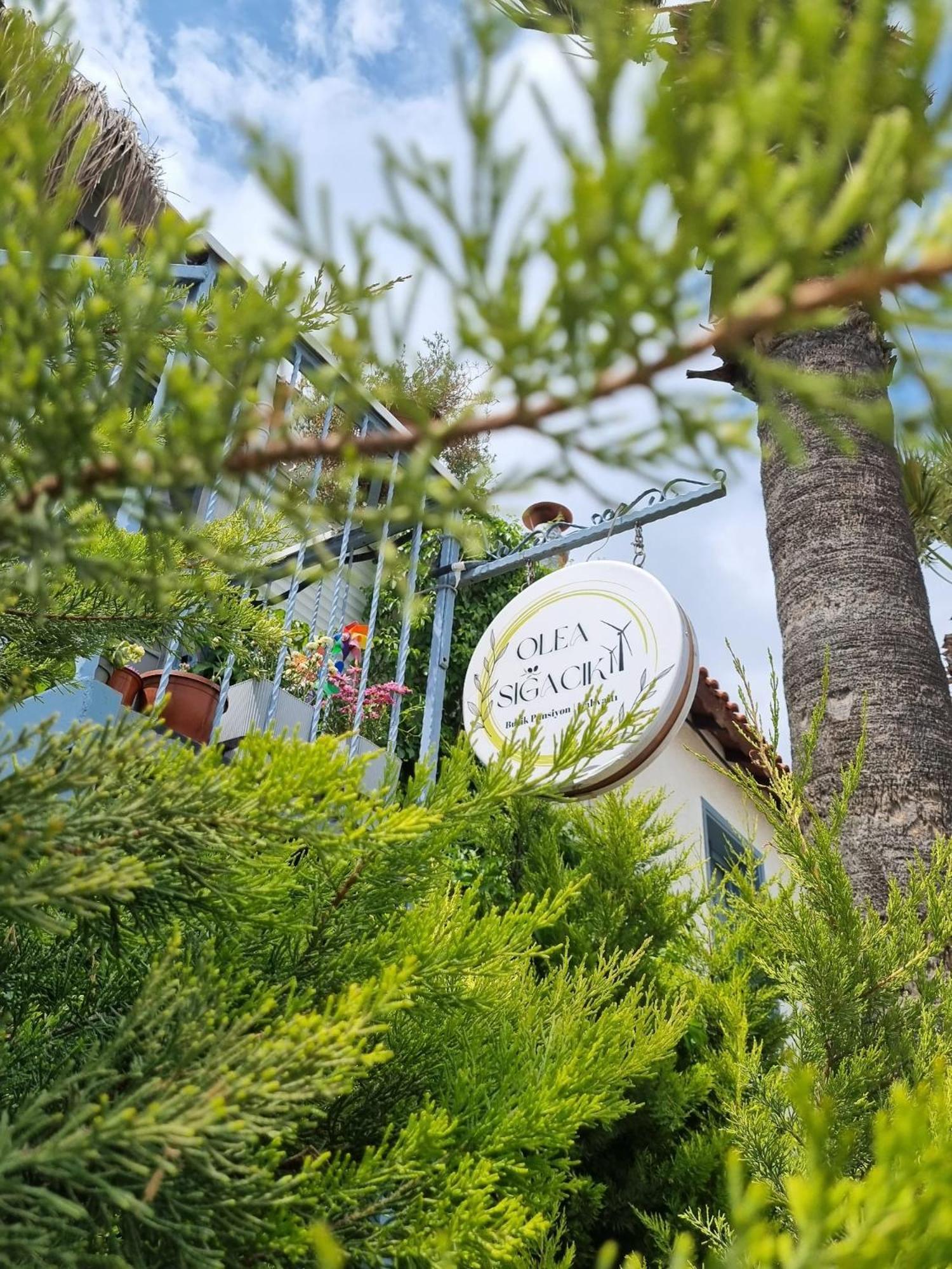 Olea Sigacik Pansiyon & Bistro Сеферігісар Екстер'єр фото